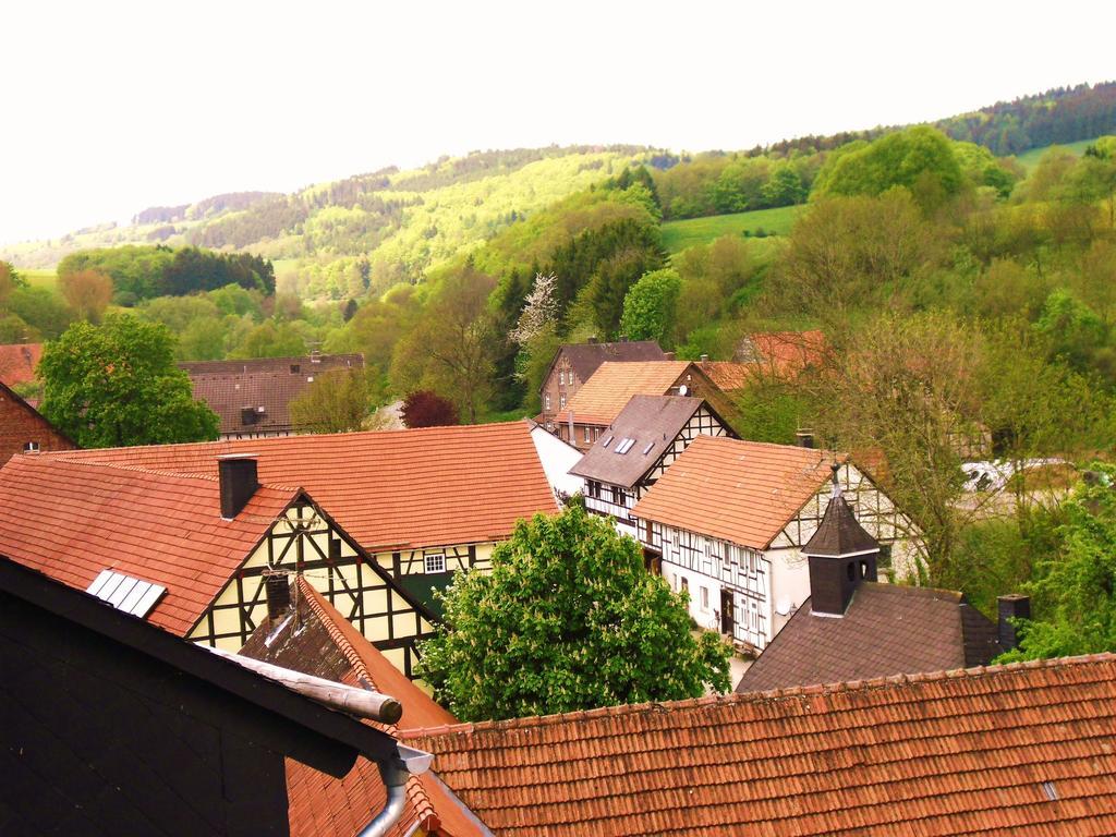 Apartment Preising Willingen  Eksteriør bilde