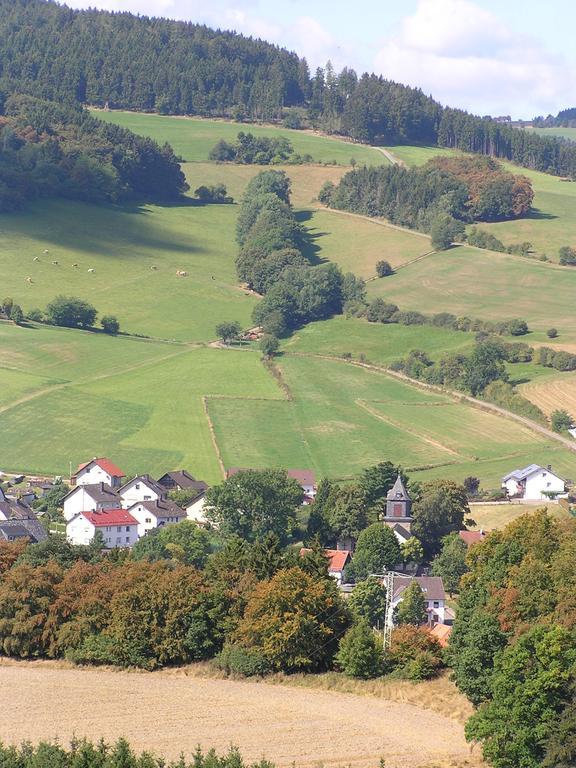 Apartment Preising Willingen  Eksteriør bilde